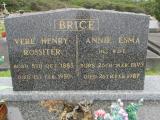 image of grave number 673563